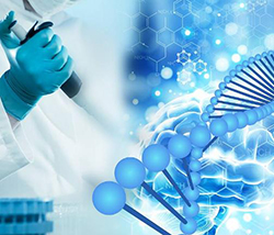 蚌埠人民医院可以做DNA鉴定吗，蚌埠医院办理DNA亲子鉴定基本的流程