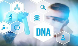 神农架可以做DNA鉴定吗，神农架做血缘检测价格