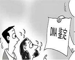 神农架DNA鉴定哪里可以做正规的，神农架亲子鉴定机构如何办理